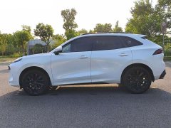 Dongfeng Fengxing T5 EVO 1.5T Diesel DCT Platinum Edition - ფოტო 14