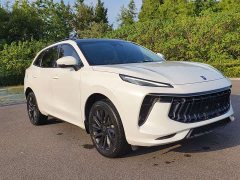 Dongfeng Fengxing T5 EVO 1.5T Diesel DCT Platinum Edition - ფოტო 3