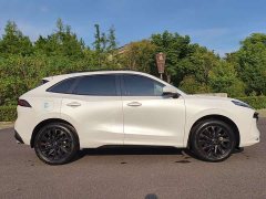 Dongfeng Fengxing T5 EVO 1.5T Diesel DCT Platinum Edition - ფოტო 4