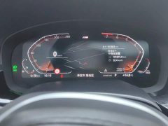 BMW 5 Series Facelift 530Li Luxury M Sport Package - ფოტო 14