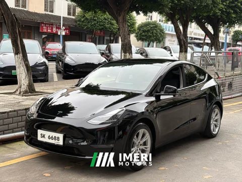 2021 Tesla Model Y Standard Range RWD - автомобиль из Китая