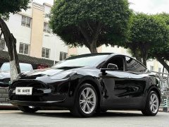 Tesla Model Y Standard Range RWD - ფოტო 4