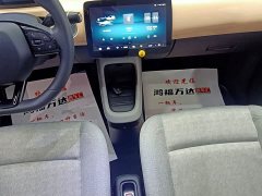Leapmotor Leapo T03 Haoyu Edition - ფოტო 17