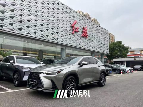 2022 Lexus NX 260 FWD Creative Edition - car from China