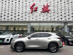 Lexus NX 260 FWD Creative Edition - photo 3