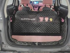 ORA Black Cat 301km Cute Pet Edition LFP Battery - photo 4