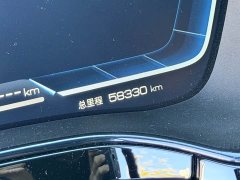 BYD Yuan Plus DM-i Champion Edition 112KM Honor Trim - photo 10