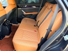 BYD Yuan Plus DM-i Champion Edition 112KM Honor Trim - photo 7