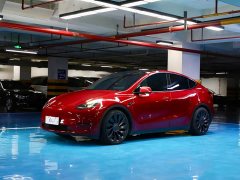 Tesla Model Y Performance All-Wheel Drive - ფოტო 1