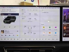 Li Auto L9 Max - ფოტო 19