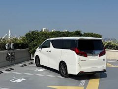 Toyota Alphard Hybrid 2.5L Luxury Edition - ფოტო 8
