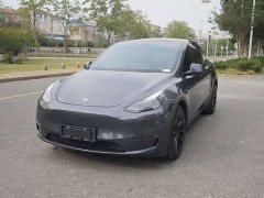Tesla Model Y Long Range All-Wheel Drive 3D7 - ფოტო 1