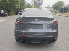 Tesla Model Y Long Range All-Wheel Drive 3D7 - ფოტო 8