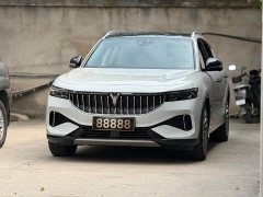 Voyah Lantu FREE Four-Wheel Drive Standard Pure Electric Exclusive Luxury Package - фото 1