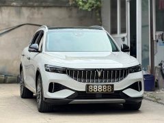 Voyah Lantu FREE Four-Wheel Drive Standard Pure Electric Exclusive Luxury Package - фото 3