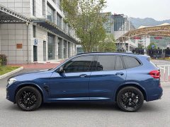 BMW X3 xDrive25i M Sport Package - фото 15