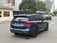 BMW X3 xDrive25i M Sport Package - фото 9
