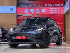 Tesla Model Y Rear-Wheel Drive - фото 1