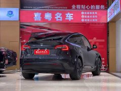 Tesla Model Y Rear-Wheel Drive - фото 2