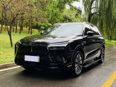 Great Wall WEY Blue Mountain Four-Wheel Drive Extended Range Version - ფოტო 1