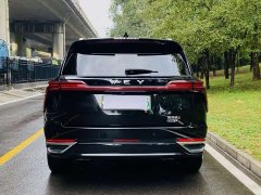 Great Wall WEY Blue Mountain Four-Wheel Drive Extended Range Version - ფოტო 17