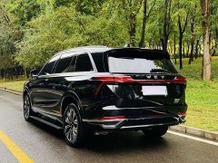 Great Wall WEY Blue Mountain Four-Wheel Drive Extended Range Version - ფოტო 18