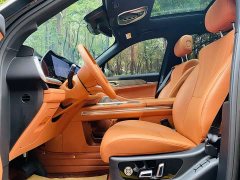 Great Wall WEY Blue Mountain Four-Wheel Drive Extended Range Version - ფოტო 8