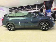 Volkswagen Lingyu 530TSI AWD Flagship Shengjing Pro - photo 13