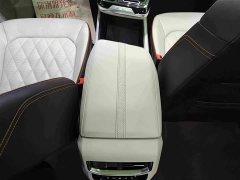 Volkswagen Lingyu 530TSI AWD Flagship Shengjing Pro - photo 9
