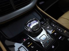 Denza D9 DM-i 980 Four-Wheel Drive Premium - ფოტო 15
