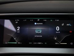 Denza D9 DM-i 980 Four-Wheel Drive Premium - ფოტო 16