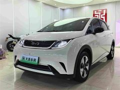 BYD Dolphin 420km Freedom Edition - ფოტო 1