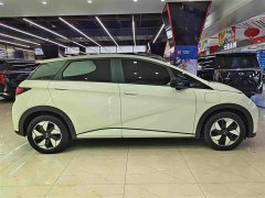 BYD Dolphin 420km Freedom Edition - ფოტო 17