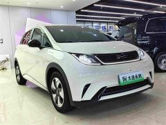 BYD Dolphin 420km Freedom Edition - ფოტო 3