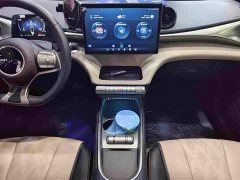 BYD Dolphin 420km Freedom Edition - ფოტო 7