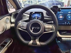 BYD Dolphin 420km Freedom Edition - ფოტო 8
