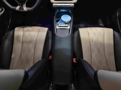 BYD Dolphin 420km Freedom Edition - ფოტო 9