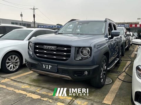 2021 Great Wall Dachshund 1.5T DCT Two-Wheel Drive Border Collie Edition - ავტომობილი ჩინეთიდან