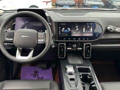 Great Wall Dachshund 1.5T DCT Two-Wheel Drive Border Collie Edition - ფოტო 7