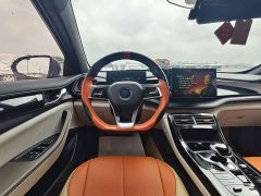 BYD Qin PLUS Champion Edition DM-i 55KM Leading - photo 14