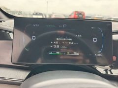BYD Qin PLUS Champion Edition DM-i 55KM Leading - photo 15
