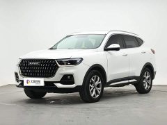 Haval H6 National Trend 1.5GDIT Automatic Champion Edition - photo 1