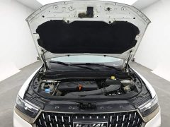 Haval H6 National Trend 1.5GDIT Automatic Champion Edition - photo 17