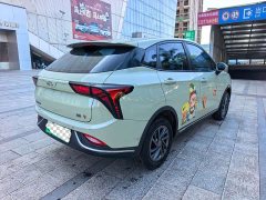 Neta V Chao 300 Industry Custom Edition - ფოტო 4