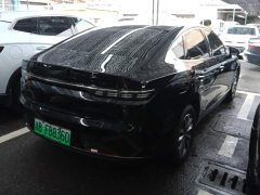 BYD Destroyer 05 Glory Edition DM-i 55KM Luxury - фото 3