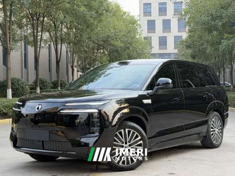 2025 Denza N8L Premium Edition - car from China