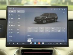 Denza N8L Premium Edition - ფოტო 11