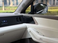 Denza N8L Premium Edition - ფოტო 12