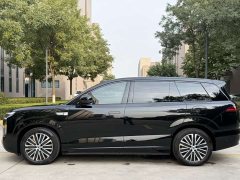 Denza N8L Premium Edition - ფოტო 18