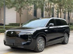 Denza N8L Premium Edition - ფოტო 2